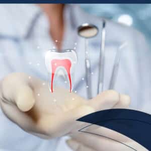 أكاديمية فيرت Vert Academy